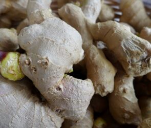 Some ginger root being cut up to extract the ginger oil for weight loss.