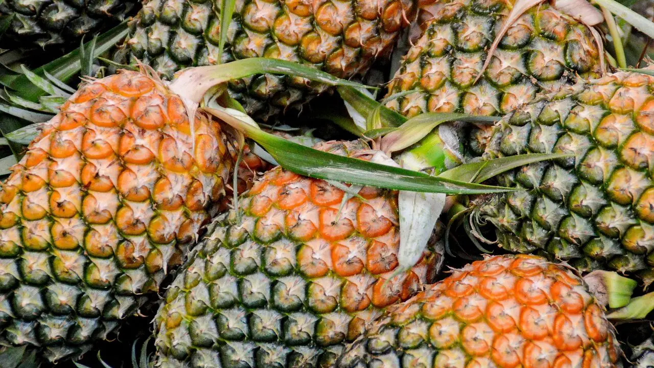 A selection of pineapples
